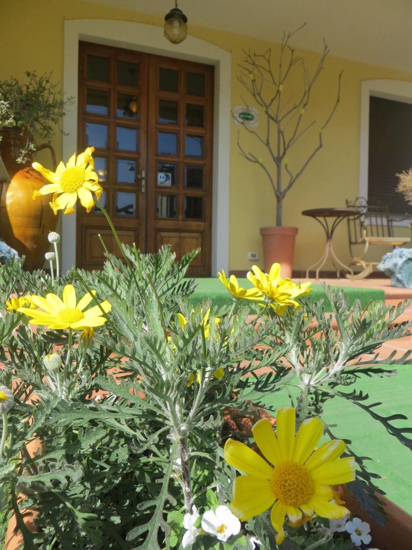 Hotel Girasole Civitanova Marche Exterior photo